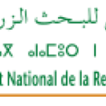 المعهد الوطني للبحث الزراعي