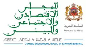 مباراة لتوظيف خبير ♣ المجلس الإقتصادي والإجتماعي والبيئي