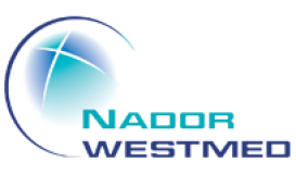 مباراة لتوظيف مهندس رئيس مشروع نظم المعلومات