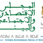 المجلس الإقتصادي والإجتماعي والبيئي